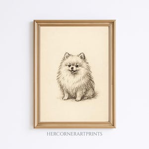 Boceto de perro Pomerania, retrato de mascota vintage, arte de pared imprimible, dibujo de perro esponjoso para guardería o regalo