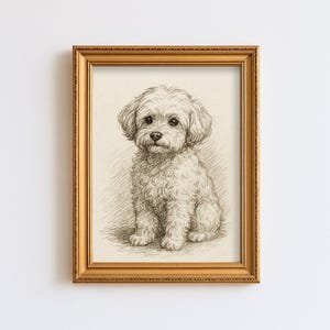 May include: A framed pencil sketch of a small, fluffy dog with a curly coat. The dog is sitting and facing forward, with a detailed rendering of its fur and features. The frame is gold-colored, adding a classic touch to the artwork.