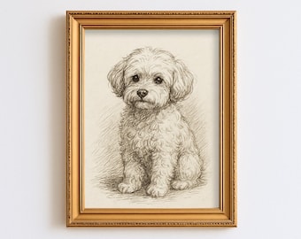 Vintage Maltipoo Dog Sketch Drawing Pet Minimal Line Wall Art Illustration Print Dog Lover Gift