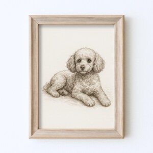 May include: A framed sepia-toned pencil sketch of a poodle lying down. The dog has curly fur and is facing the viewer. The artwork is in a light-colored wooden frame, suitable for home decor.