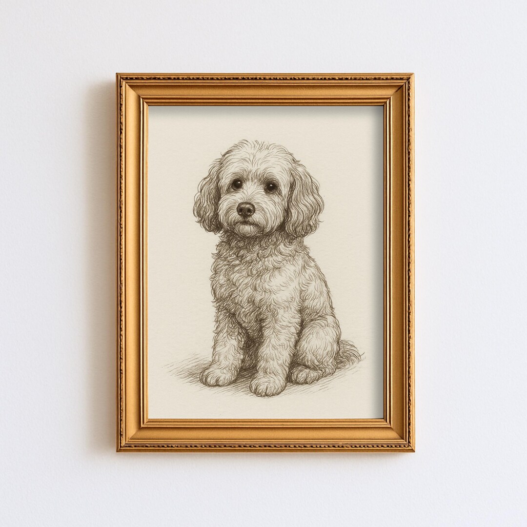 Vintage Cockapoo Dog Sketch Drawing Pet Minimal Line Wall Art ...