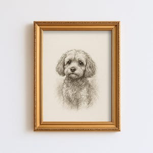 May include: A framed pencil sketch of a small dog with curly fur. The dog is centered in the frame, with a detailed rendering of its face and body. The frame is gold-colored and rectangular, set against a white background.