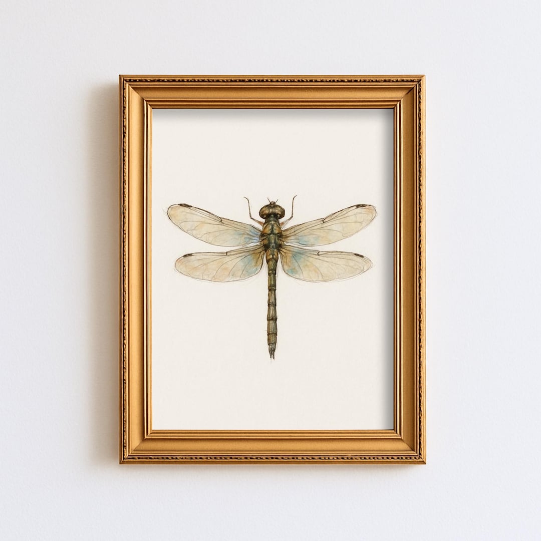 Vintage Dragonfly Illustration Print Summer Botanical Wall Art Rustic ...