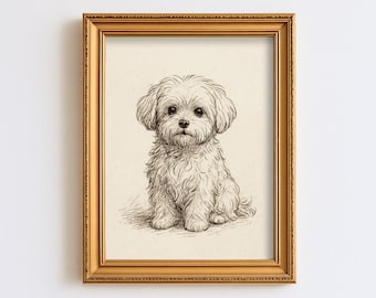 Vintage Maltese Dog Sketch Drawing Pet Minimal Line Wall Art Illustration  Print Dog Lover Gift