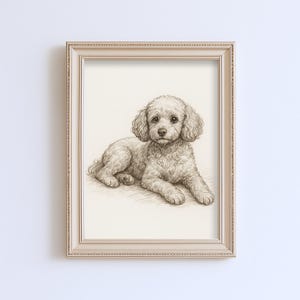 May include: A framed pencil sketch of a poodle dog lying down. The dog has curly fur and is facing the viewer. The frame is a light beige color with a textured border. The artwork is on a white background.