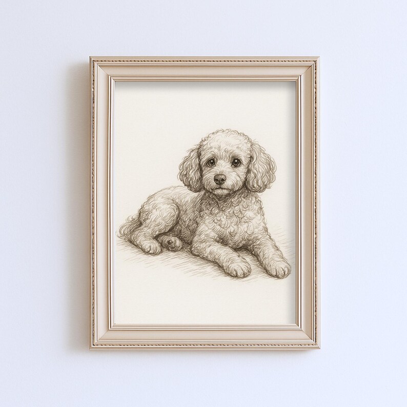 May include: A framed pencil sketch of a poodle dog lying down. The dog has curly fur and is facing the viewer. The frame is a light beige color with a textured border. The artwork is on a white background.