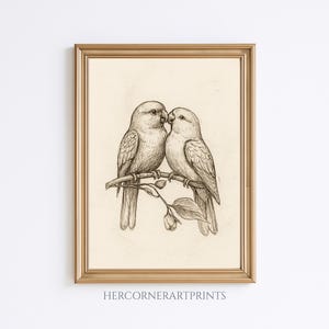 Dibujo a lápiz de pareja de agapornis vintage, arte de pared para guardería, habitación de bebé, estilo rústico, estilo cottagecore antiguo, impresión rústica de granja