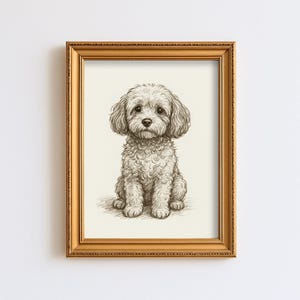 Op de afbeelding: Een ingelijste potloodschets van een zittende, pluizige hond met krullend haar. De hond heeft een lieve uitdrukking en is gecentreerd in een goudkleurige lijst. Het kunstwerk staat op een crèmekleurige achtergrond.