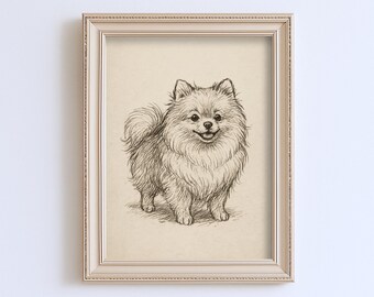 ヴィンテージ ポメラニアン犬 スケッチ画 ペット ミニマルライン