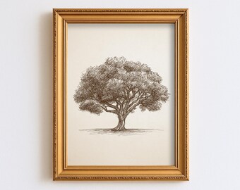 ANCIEN ARBRE EN BOIS DE CARYER T Stewart S/F LOFTER BF