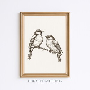 Dibujo a lápiz de pareja de agapornis vintage, arte de pared para guardería, habitación de bebé, estilo rústico, estilo cottagecore antiguo, impresión rústica de granja