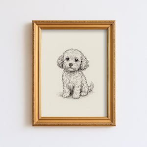 Peut inclure: Dessin au trait encadré d'un petit chien moelleux, assis et regardant vers l'avant. Le dessin est encadré dans un cadre doré, sur fond blanc. Le chien a une expression douce.