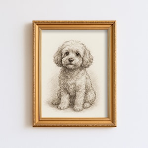 May include: A framed pencil sketch of a small, fluffy dog with curly fur. The dog is sitting upright, facing forward, with a gentle expression. The artwork is in a gold-colored frame, adding a touch of elegance to the pet portrait.