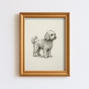 Könnte beinhalten: Eine gerahmte Bleistiftskizze eines kleinen, flauschigen Hundes mit lockigem Fell. Der Hund steht und blickt nach rechts, mit eingekringeltem Schwanz. Der Rahmen ist goldfarben und rechteckig, vor weißem Hintergrund.