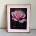 see more listings in the 8 x 10 Picture Frames section