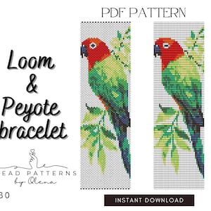 May include: A PDF pattern for a loom and peyote bracelet featuring a colorful parrot design. The parrot is depicted with red, green, and yellow hues, perched on a leafy branch. The text "Loom & Peyote bracelet" is displayed in black, along with the designer's name.