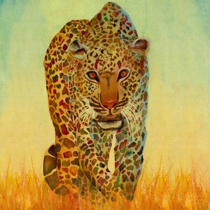 Leopard    Kitu