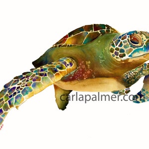 Sea Turtle Honu