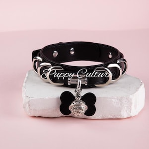 Puede incluir: Collar de perro de cuero negro con herrajes plateados y una etiqueta en forma de hueso. La etiqueta tiene un dije de campana plateada. El collar tiene el texto "Puppy Culture" en escritura blanca.