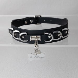 Pode incluir: Coleira de cão em couro preto com detalhes em metal prateado e uma etiqueta em forma de osso com a inscrição "Mr. Li's Puppy". A coleira possui fecho de fivela e argolas em D decorativas.