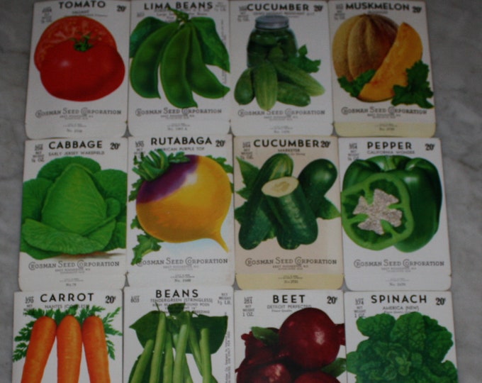 Lot of 16 Vintage Unused Lithographed Vegetable Seed Packs; Crosman Seed Co., East Rochester, NY Warehouse Find! Old Authentic Packets!