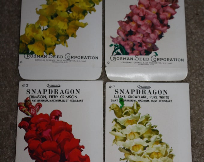 Group of 4 Vintage Snapdragon Seed Packets: Crosman Seed Co. East Rochester, NY; Never used old stock!