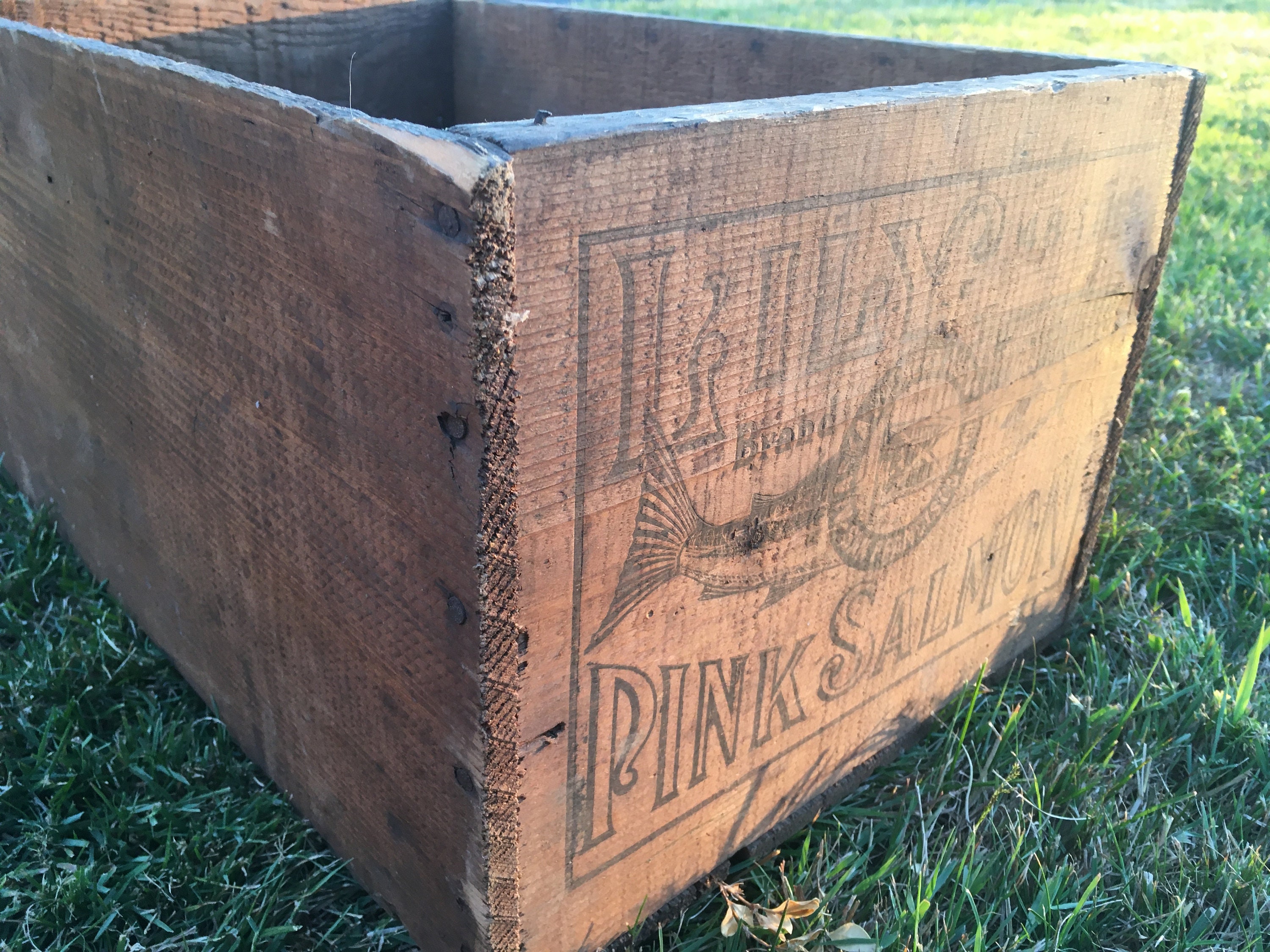 Early 1900s Antique Wooden Advertising Shipping Crate Lily Brand Salmon