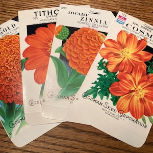 May include: Four seed packets for marigold, tithonia, zinnia, and cosmos flowers. The packets feature colorful illustrations of the flowers and include the flower names, variety, and seed company information.