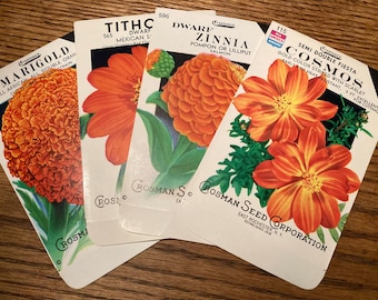 Set of 4 Vintage Seed Packets featuring Orange Flowers; Crosman Seed Corp., East Rochester, NY