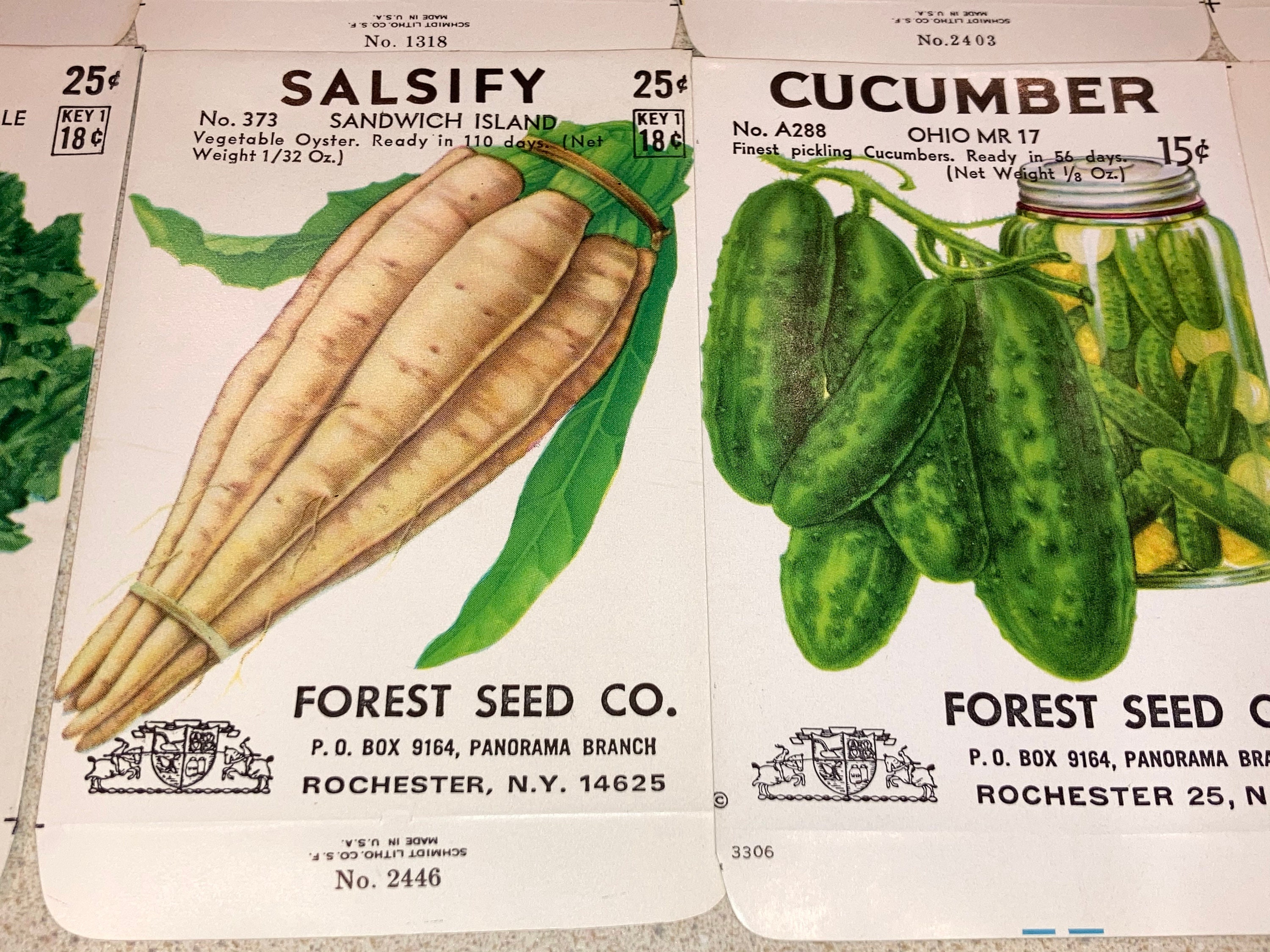 16 Vintage Fruit Vegetable & Herb Seed Packets Forest Seed Co., Rochester NY; Unused Old Stock