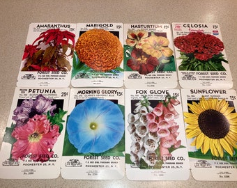 Set of 8 Vintage Flower Seed Packs from Forest Seed Co., Rochester NY; Unused Old Stock; Warehouse Find! NOS 1950s Authentic Packets!