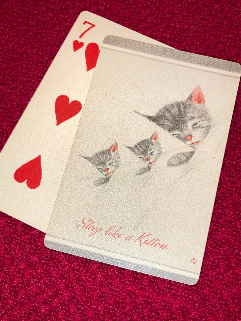 Puede incluir: Una carta de juego con el siete de corazones junto a una carta con un dibujo de tres gatitos durmiendo. Los gatitos son grises con orejas y narices rosas. El texto "Sleep like a Kitten" est&aacute; escrito en cursiva en la tarjeta.