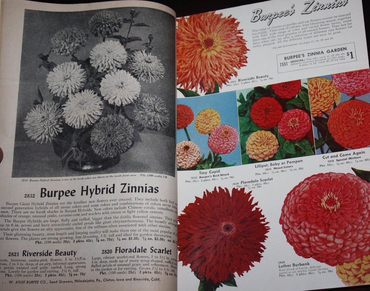 Original 1952 Burpee Seeds Catalog! 130 Pages, Fruit & Vegetables