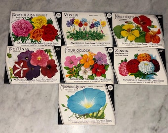 Vintage 1940s Mandeville & King Flower Seed Packets WITH SEEDS! Rochester, NY Unopened Old Stock