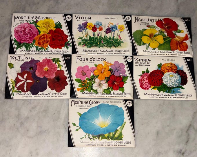 Vintage 1940s Mandeville & King Flower Seed Packets WITH SEEDS! Rochester, NY Unopened Old Stock