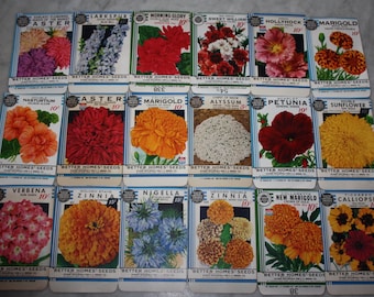 New Find! Collection of 18 Vintage 1934 "Better Homes" Flower Seed Packets Crosman Seed Co. East Rochester, NY Old Stock, Warehouse Find!