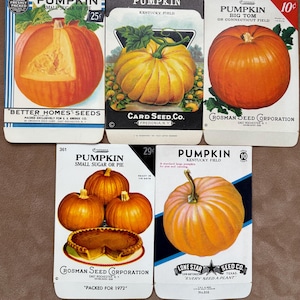 Collection of 5 Different Vintage Pumpkin Seed Packets; NOS, Never Used, Old Stock, Halloween Autumn