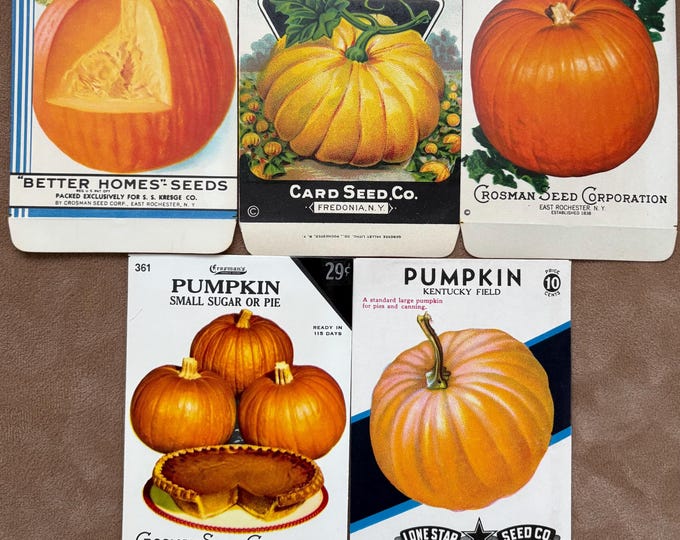 Collection of 5 Different Vintage Pumpkin Seed Packets; NOS, Never Used, Old Stock, Halloween Autumn