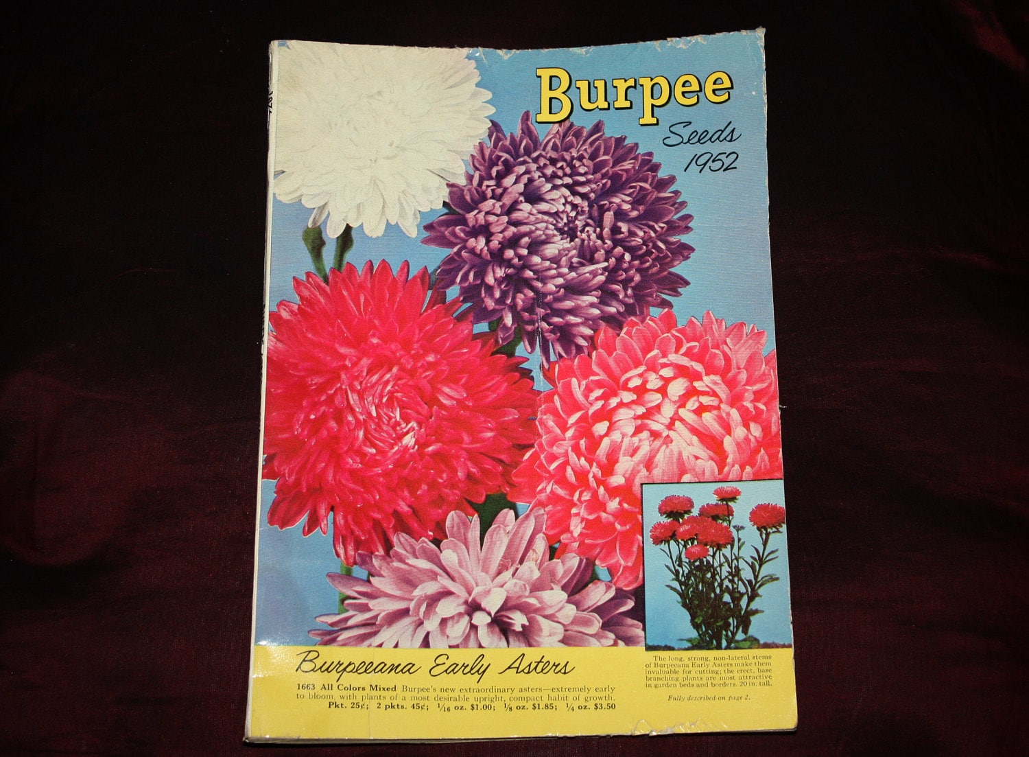 Original 1952 Burpee Seeds Catalog! 130 Pages, Fruit & Vegetables