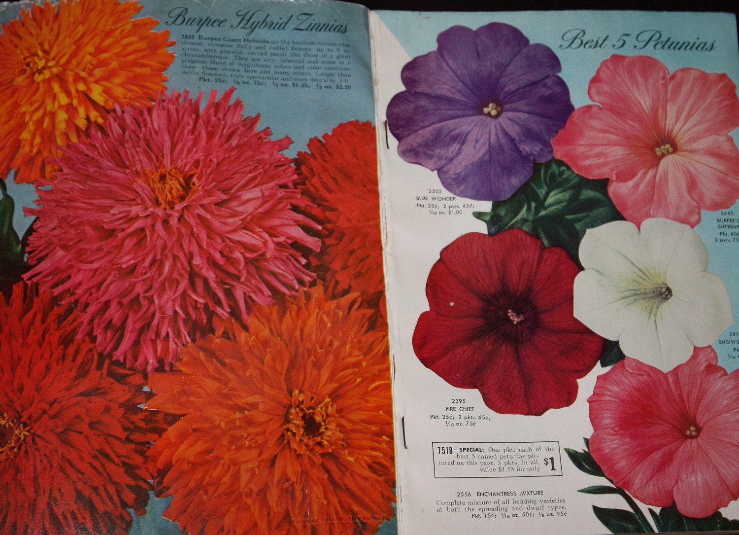 Original 1952 Burpee Seeds Catalog! 130 Pages, Fruit & Vegetables
