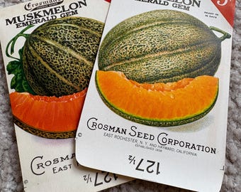 1934 Crosman Muskmelon Seed Packets: Lithographed Kitchen Decor