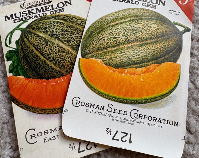 Set of 2 1934 Crosman Seed Co. Muskmelon Seed Packets, Original, Never Used, Lithographed Graphics, East Rochester, NY