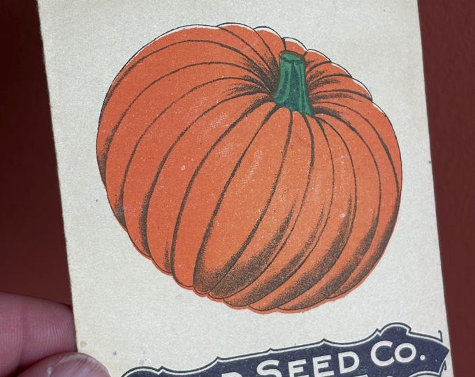Vintage 1920s Pumpkin Seed Packet, Card Seed Co. Fredonia, NY