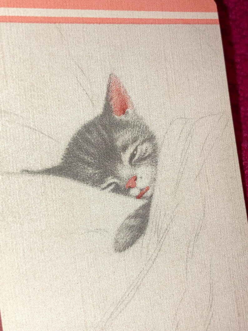 Puede incluir: Primer plano de una tarjeta impresa con un gato atigrado gris durmiendo con orejas y nariz rosas. El gato est&aacute; acurrucado en una manta blanca. La parte superior de la tarjeta tiene un borde a rayas rosa y blanco.