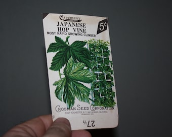 Vintage 1930s Crosman Seeds Unused Seed Packet: Japanese Hop Vine; NOS RARE