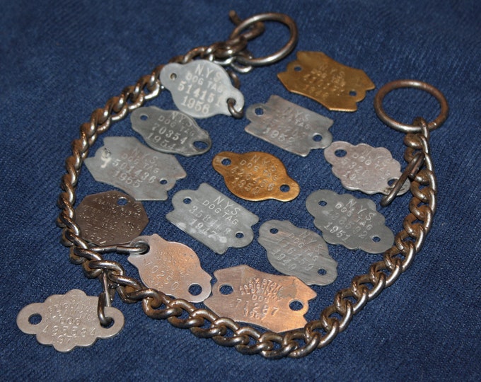 Lot of 14 Vintage Metal NYS Dog License Tags & Choker Collar