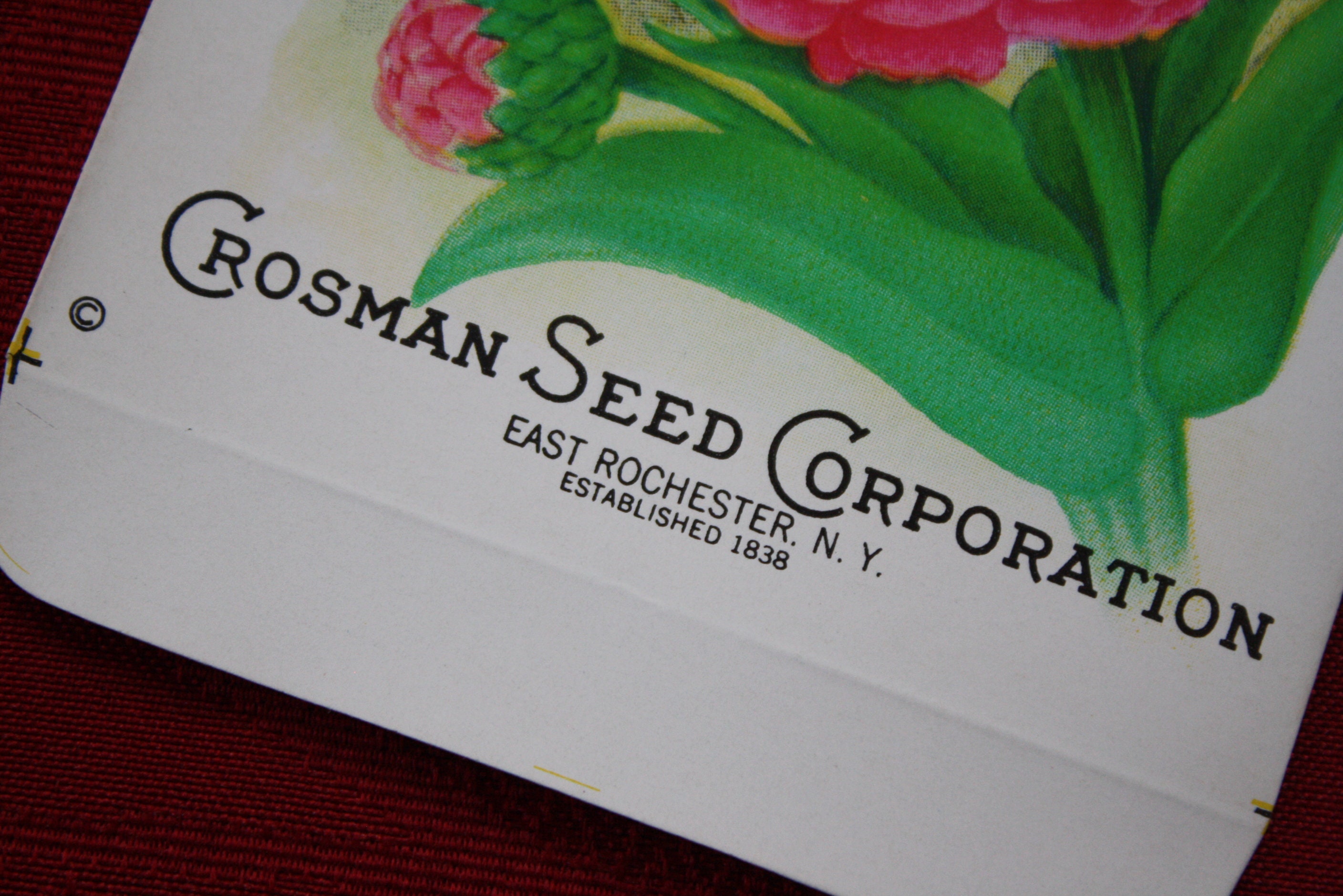 4 Vintage 1930s Unused Flower Seed Packets from Crosman Seed