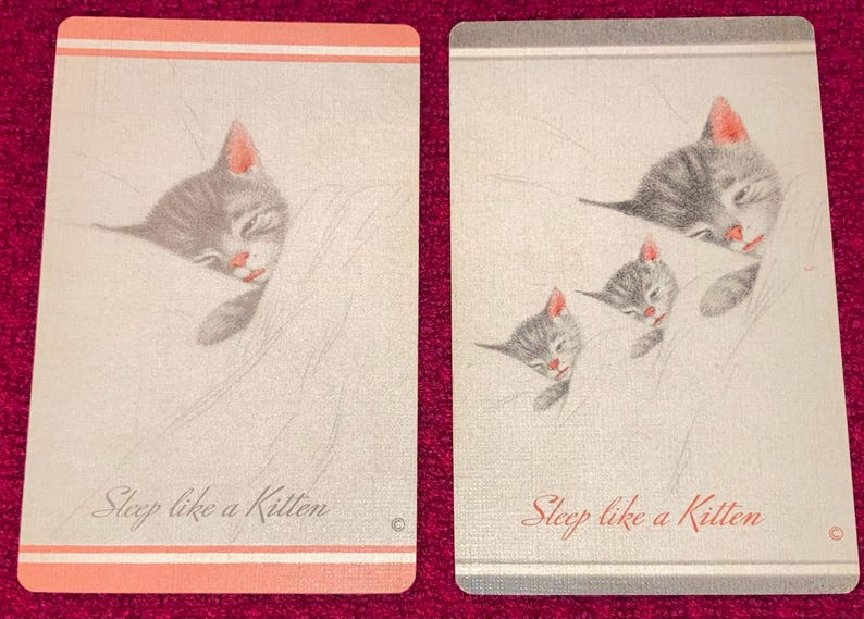 Puede incluir: Dos tarjetas rectangulares con ilustraciones de gatitos durmiendo. Una tarjeta tiene un borde rosa, la otra gris. El texto "Sleep like a Kitten" est&aacute; impreso en cada tarjeta.