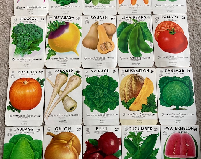 Lot of 20 Different Vintage Unused Fruit & Vegetable Seed Packets; Crosman Seed Co., East Rochester, NY Warehouse Find! Old, Authentic