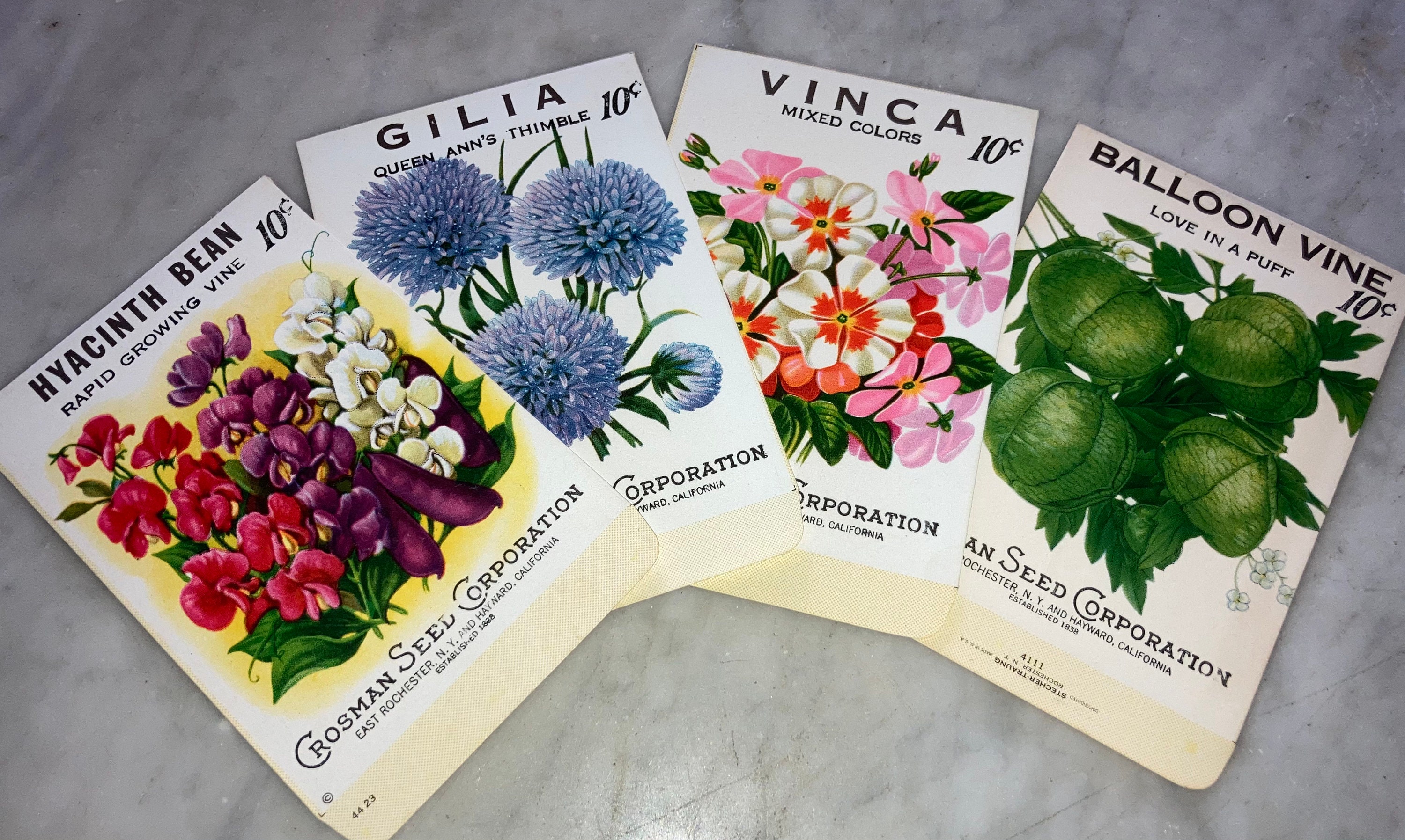 4 Vintage 1930s Unused Flower Seed Packets from Crosman Seed